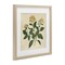 Stupell Industries Yellow Bushels Botanical Illustration Framed Print Under Glass, design by Petal Prints Design